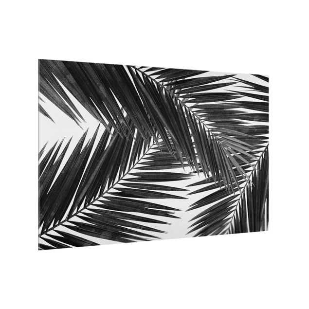 Salpicadero cocina cristal View Over Palm Leaves Black And White
