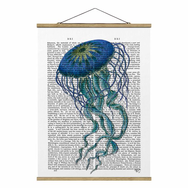 Cuadros de animales Animal Reading - Jellyfish