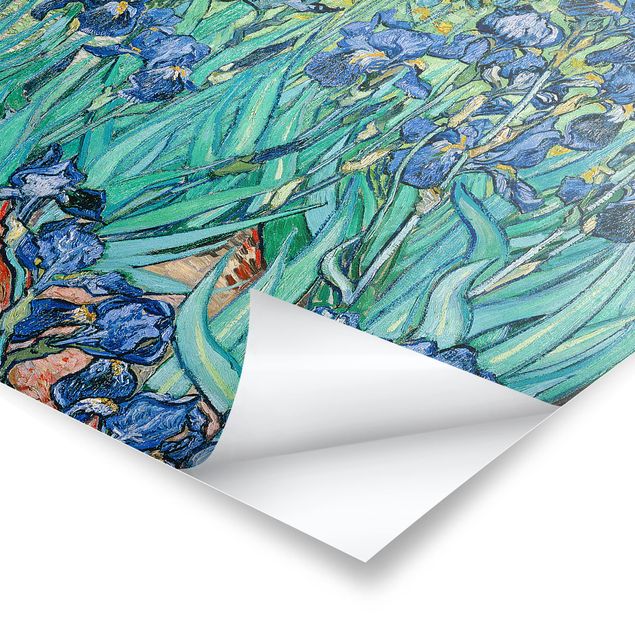 Láminas flores Vincent Van Gogh - Iris