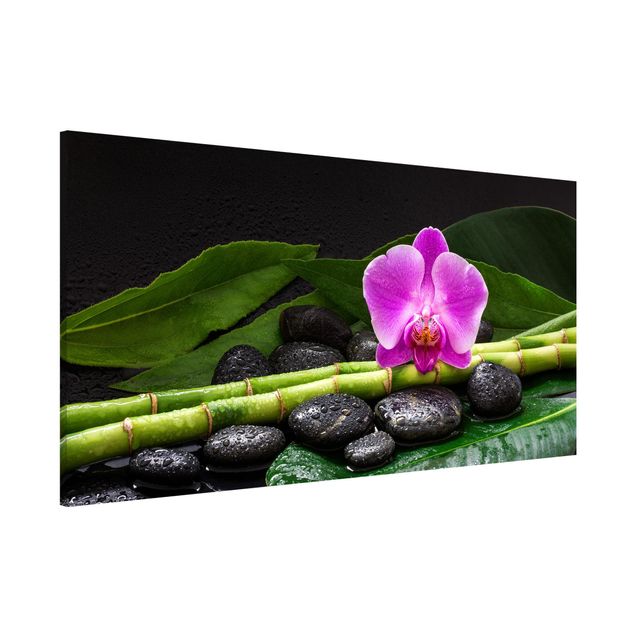 Cuadros con orquideas Green Bamboo With Orchid Flower