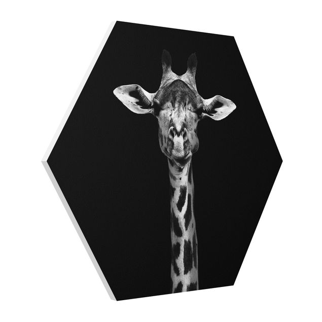 Cuadros modernos y elegantes Dark Giraffe Portrait