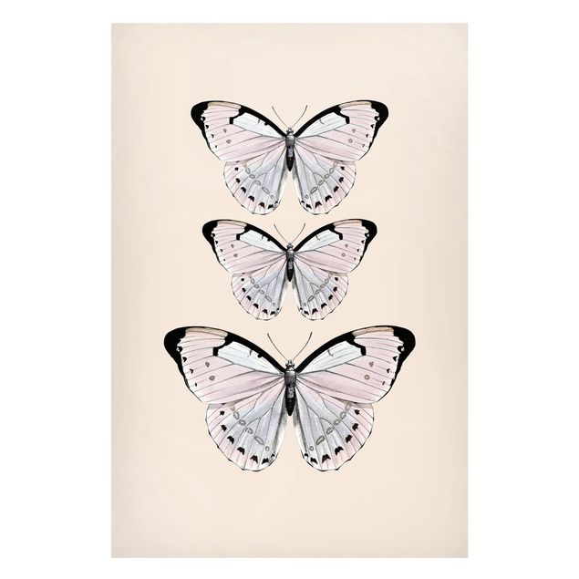 Cuadros de mariposas y flores Butterfly On Beige