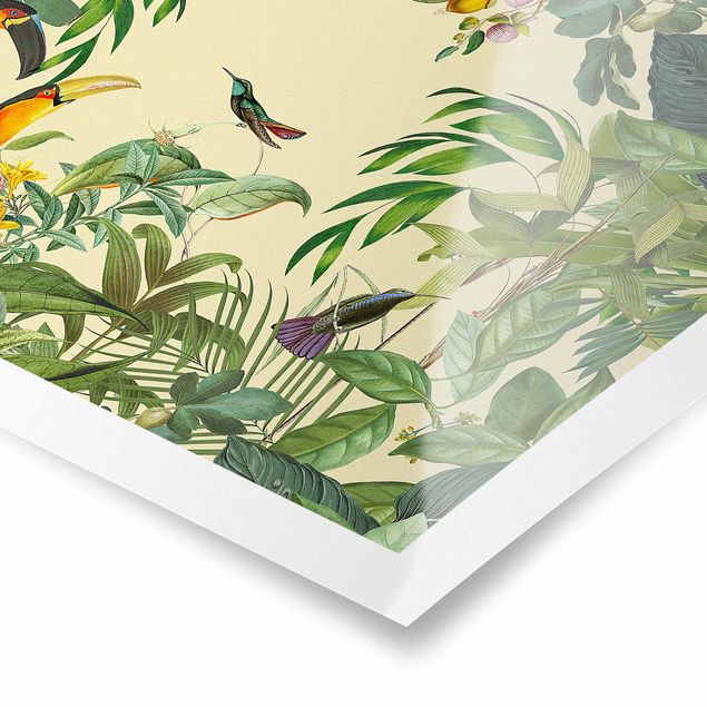 Cuadro multicolor Vintage Collage - Birds In The Jungle