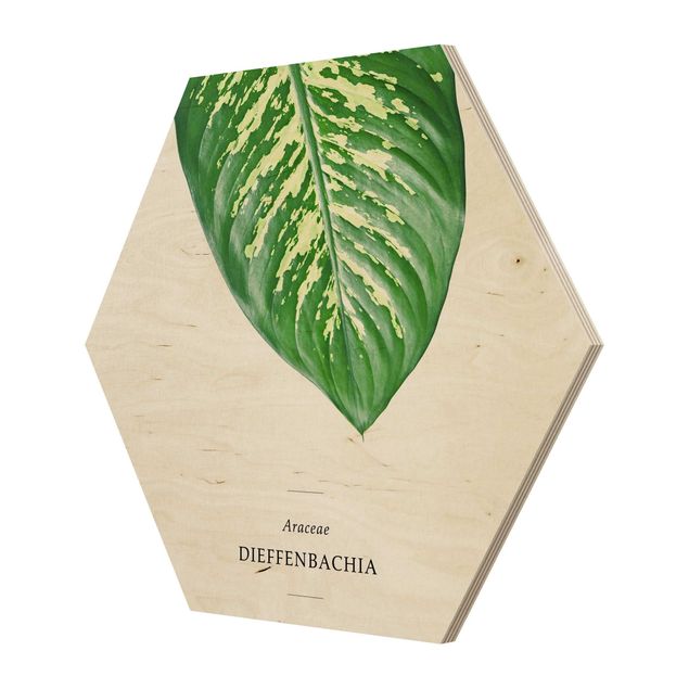 Hexagon Bild Holz - Tropisches Blatt Dieffenbachie