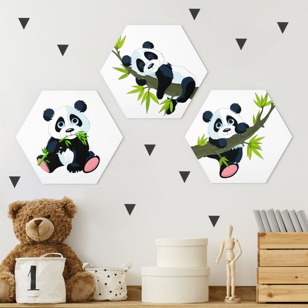 Cuadros osos Panda set