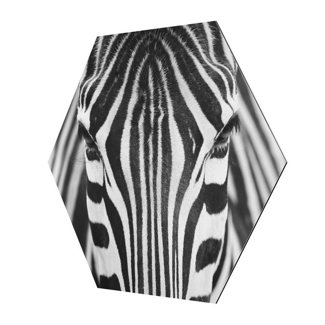 Cuadros a blanco y negro Zebra Look