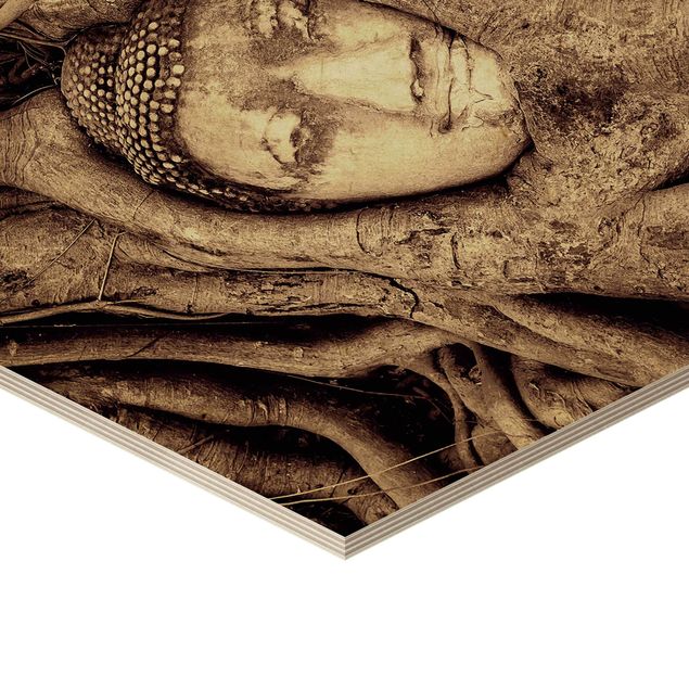 Hexagon Bild Holz - Buddha in Ayutthaya von Baumwurzeln gesäumt in Braun