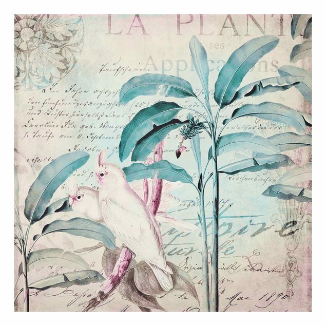 Cuadros de plantas Colonial Style Collage - Cockatoos And Palm Trees