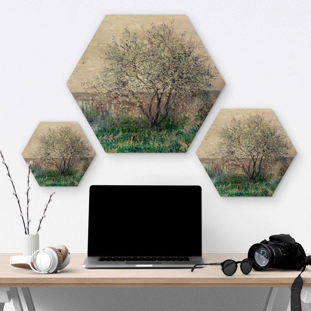 Cuadros hexagonales Claude Monet - Spring in Vétheuil
