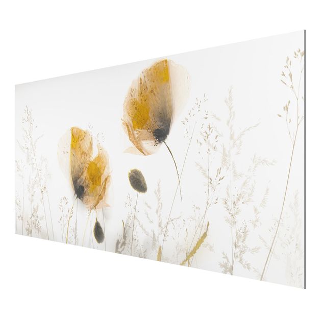 Cuadros plantas Poppy Flowers And Delicate Grasses In Soft Fog