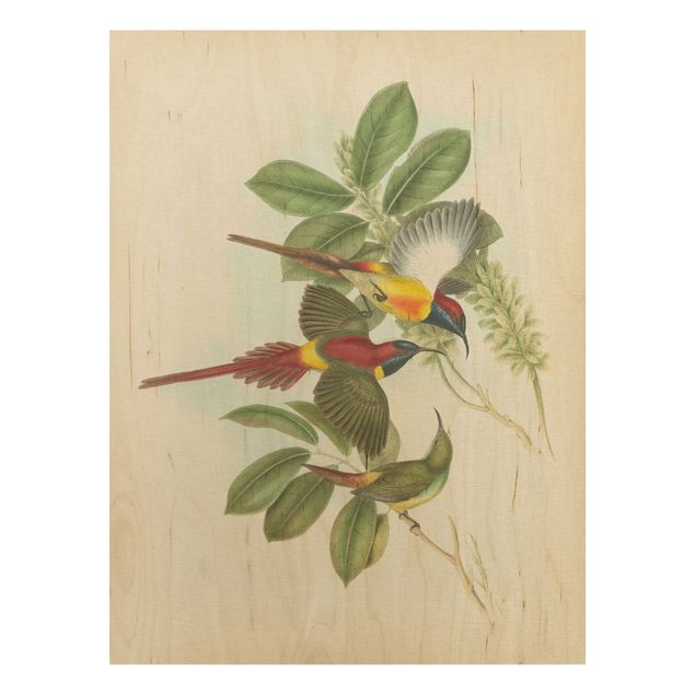 Cuadros de madera flores Vintage Illustration Tropical Birds III