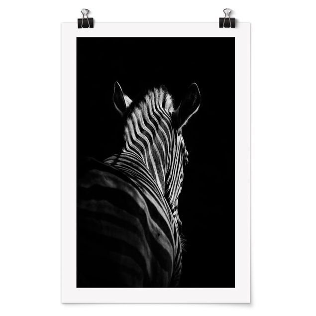 Póster animales Dark Zebra Silhouette