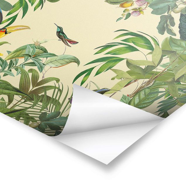 Cuadros Haase Vintage Collage - Birds In The Jungle