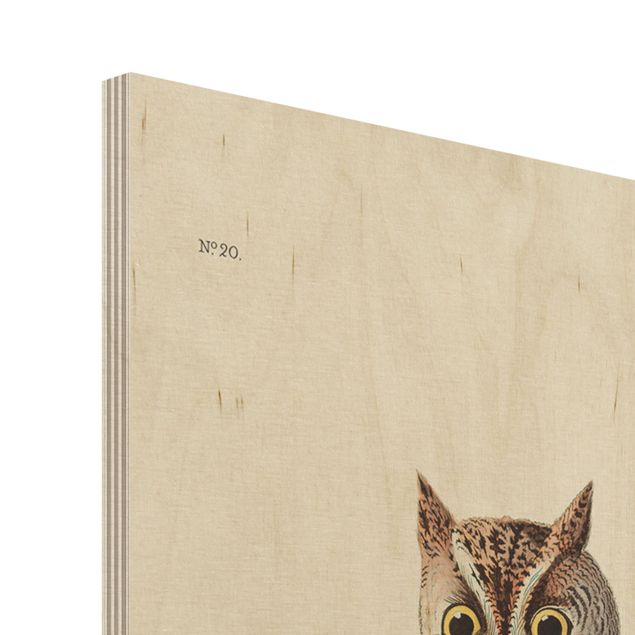 Cuadros en madera Vintage Board Screech Owl