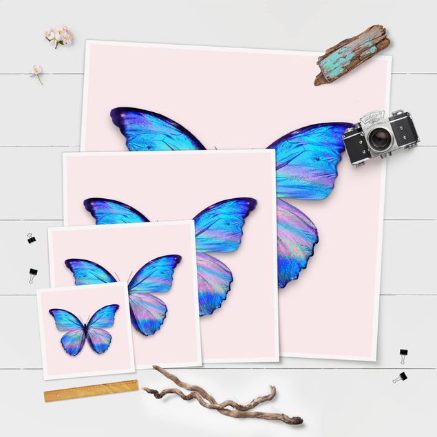 Cuadros Jonas Loose Holographic Butterfly