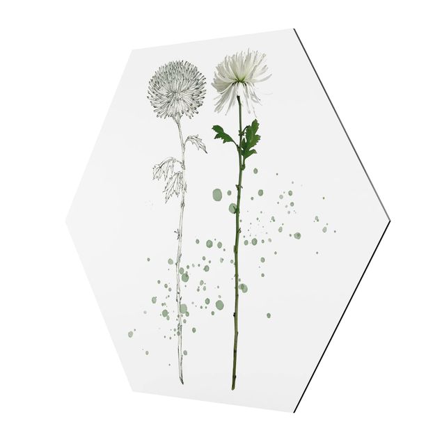 Cuadros modernos Botanical Watercolour - Dandelion