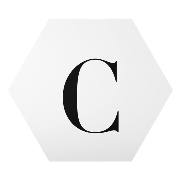 Cuadros Letter Serif White C