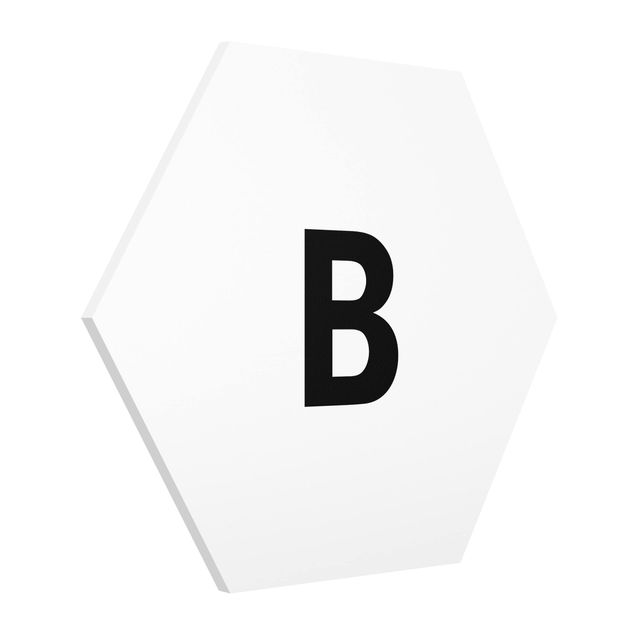Cuadros modernos y elegantes Letter White B