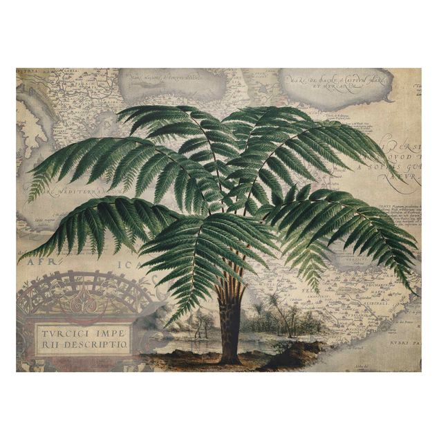 Cuadro con paisajes Vintage Collage - Palm And World Map