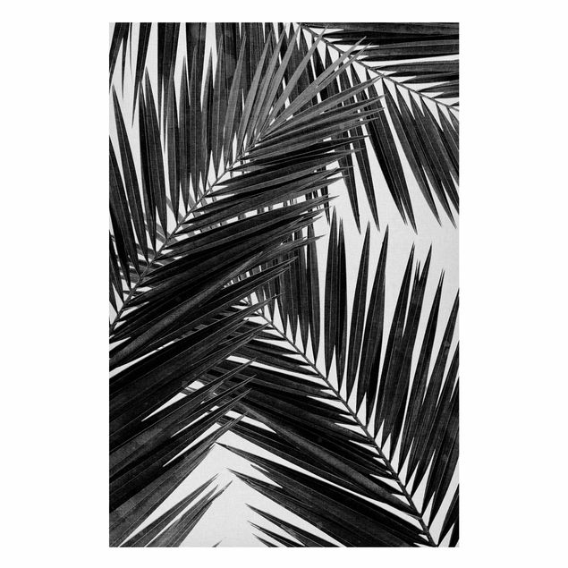 Cuadros paisajes View Through Palm Leaves Black And White