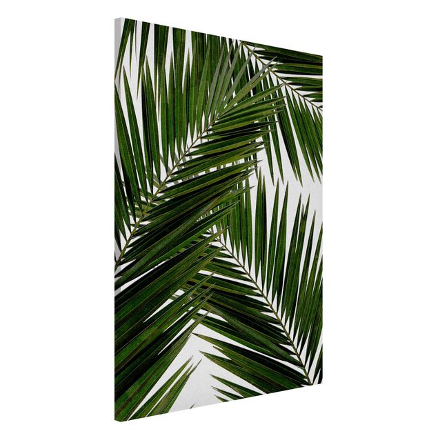 Decoración cocina View Through Green Palm Leaves