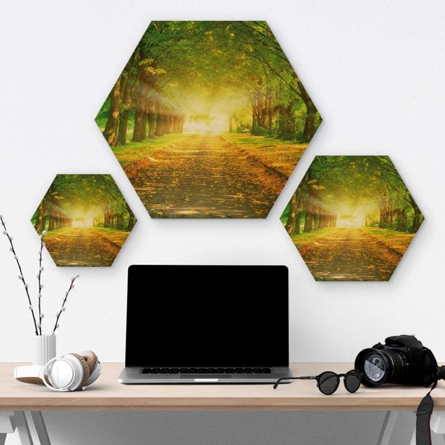 Hexagon Bild Holz - Autumn Avenue