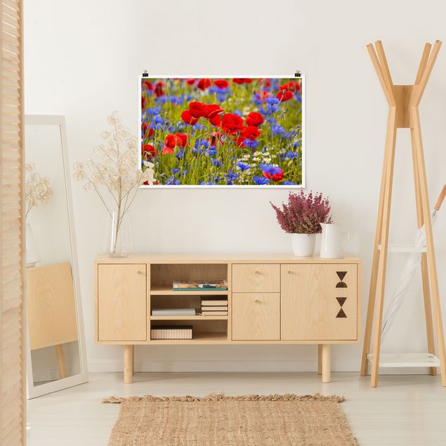 Póster flores Summer Meadow With Poppies And Cornflowers