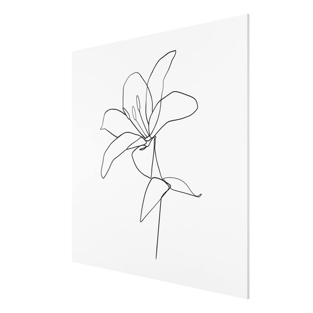 Cuadros plantas Line Art Flower Black White