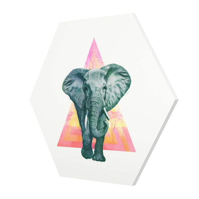 Cuadros multicolores Illustration Elephant Front Triangle Painting