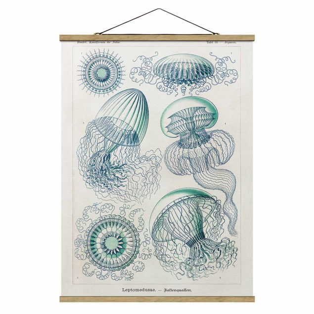 Cuadros de animales Vintage Board Jellyfish In Blue