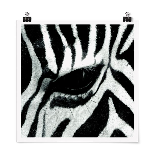 Pósters en blanco y negro Zebra Crossing