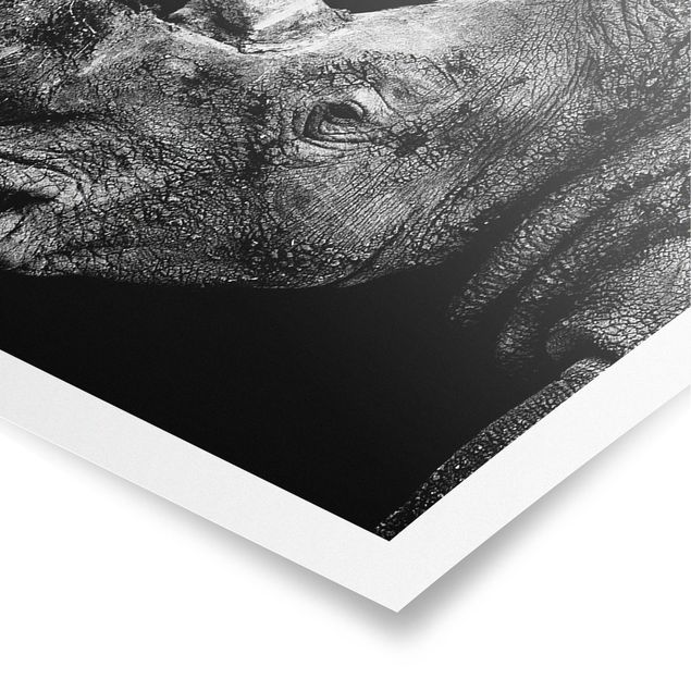 Cuadros modernos blanco y negro Rhino Duel