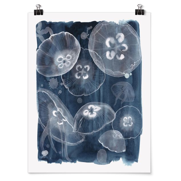 Cuadros de animales Moon Jellyfish II