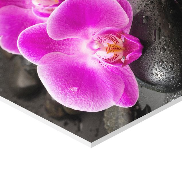 cuadros hexagonales Pink Orchid Flowers On Stones With Drops