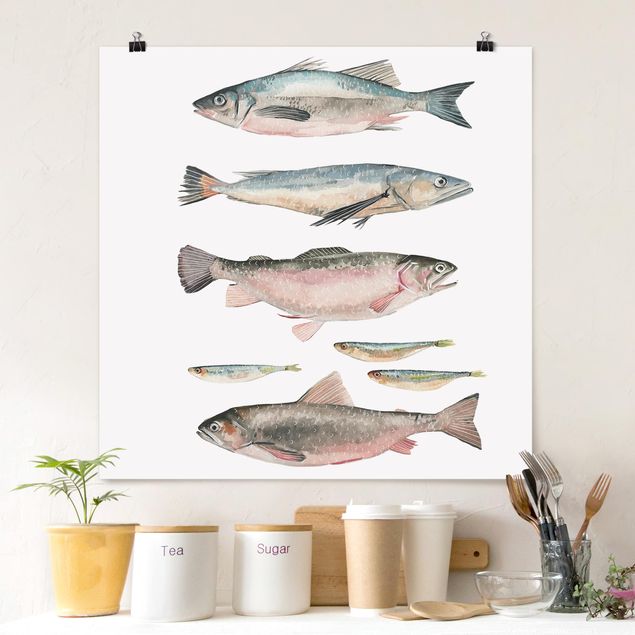 Cuadros de peces modernos Seven Fish In Watercolour I