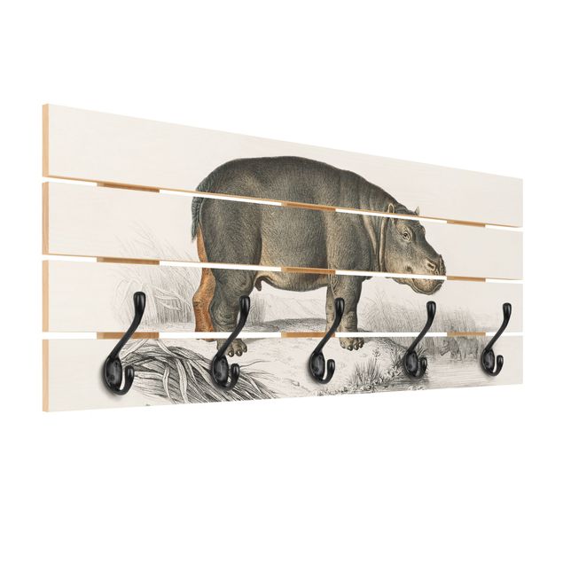 Percheros de pared Vintage Board Hippo