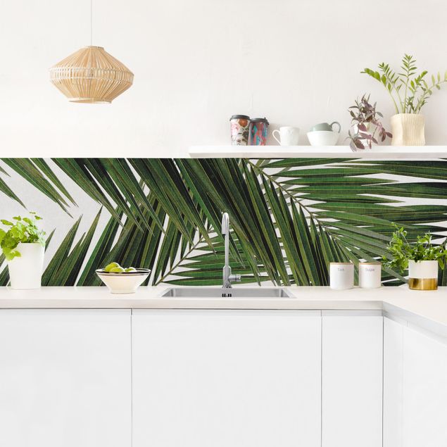 revestimiento pared cocina View Through Green Palm Leaves