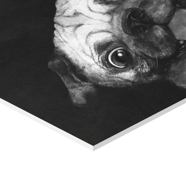 Cuadros Laura Graves Arte Illustration Dog Pug Painting On Black And White