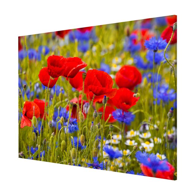 Tableros magnéticos flores Summer Meadow With Poppies And Cornflowers