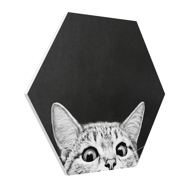 Reproducciónes de cuadros Illustration Cat Black And White Drawing