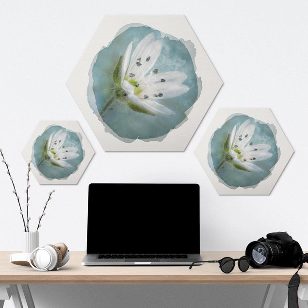 Hexagon Bild Alu-Dibond - Wasserfarben - Weiße Blüte auf blau