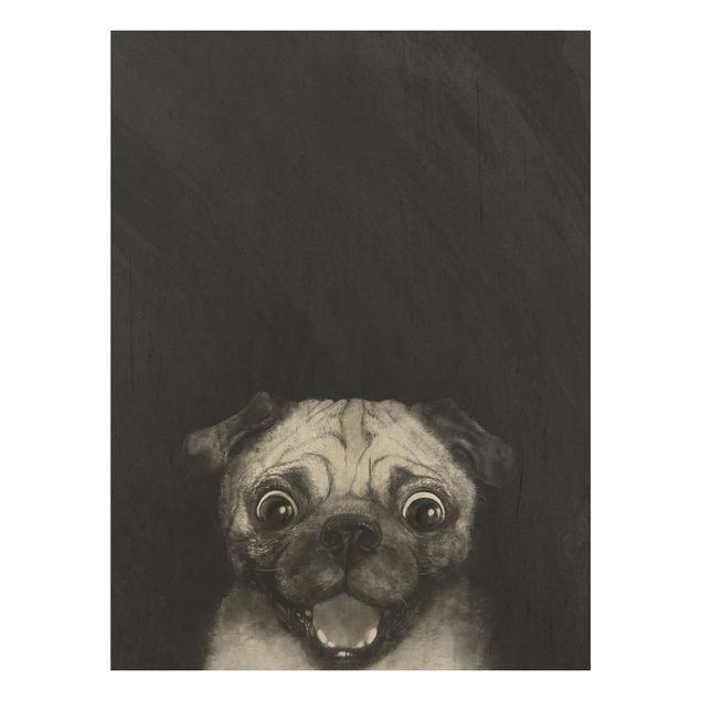 Cuadros decorativos Illustration Dog Pug Painting On Black And White