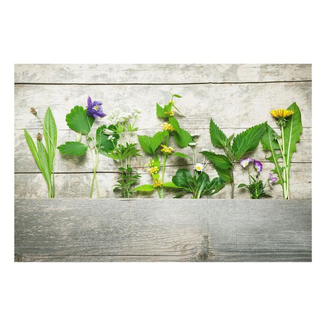panel-antisalpicaduras-cocina Medicinal And Wild Herbs