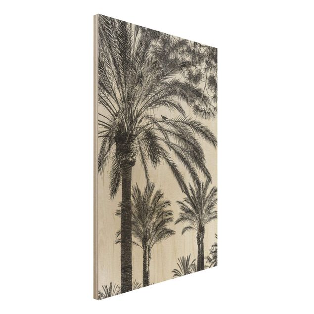 Decoración de cocinas Palm Trees At Sunset Black And White