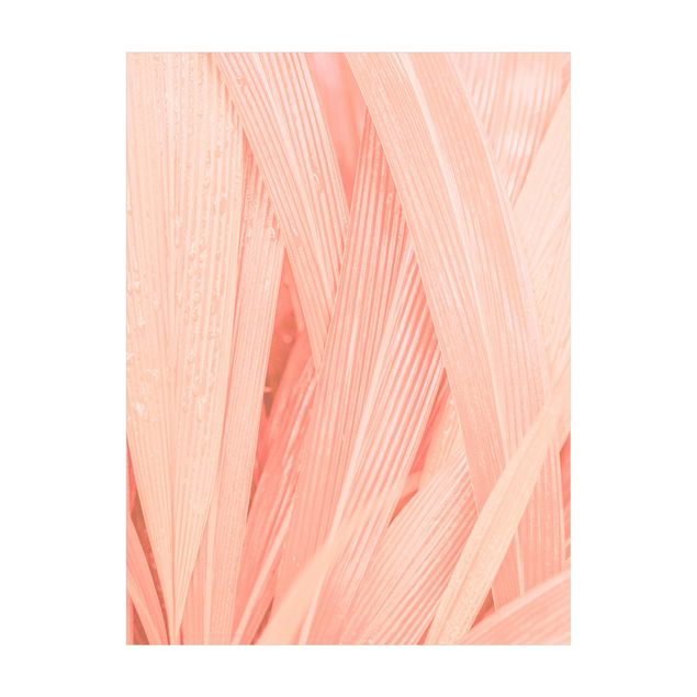 Alfombra jungla Palm Leaves Light Pink