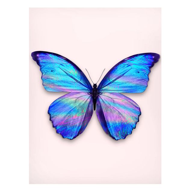 Cuadros de peces modernos Holographic Butterfly