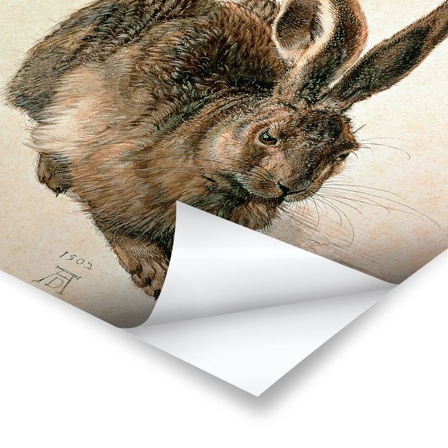 Póster animales Albrecht Dürer - Young Hare