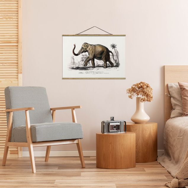 Cuadros paisajes Vintage Board Elephant