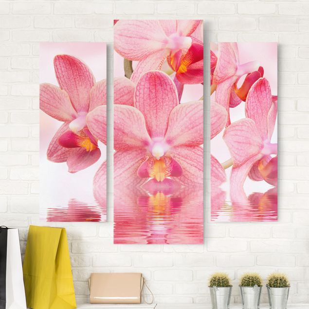 Cuadros de orquideas Light Pink Orchid On Water