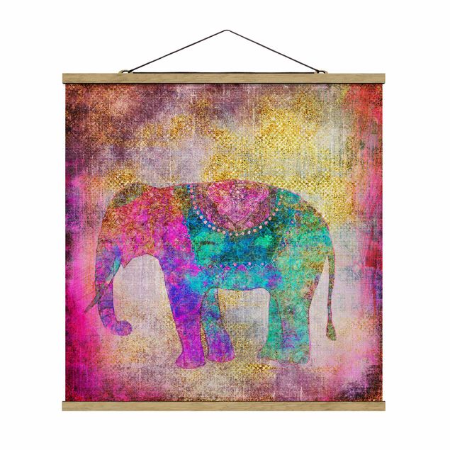 Cuadros zen Colourful Collage - Indian Elephant